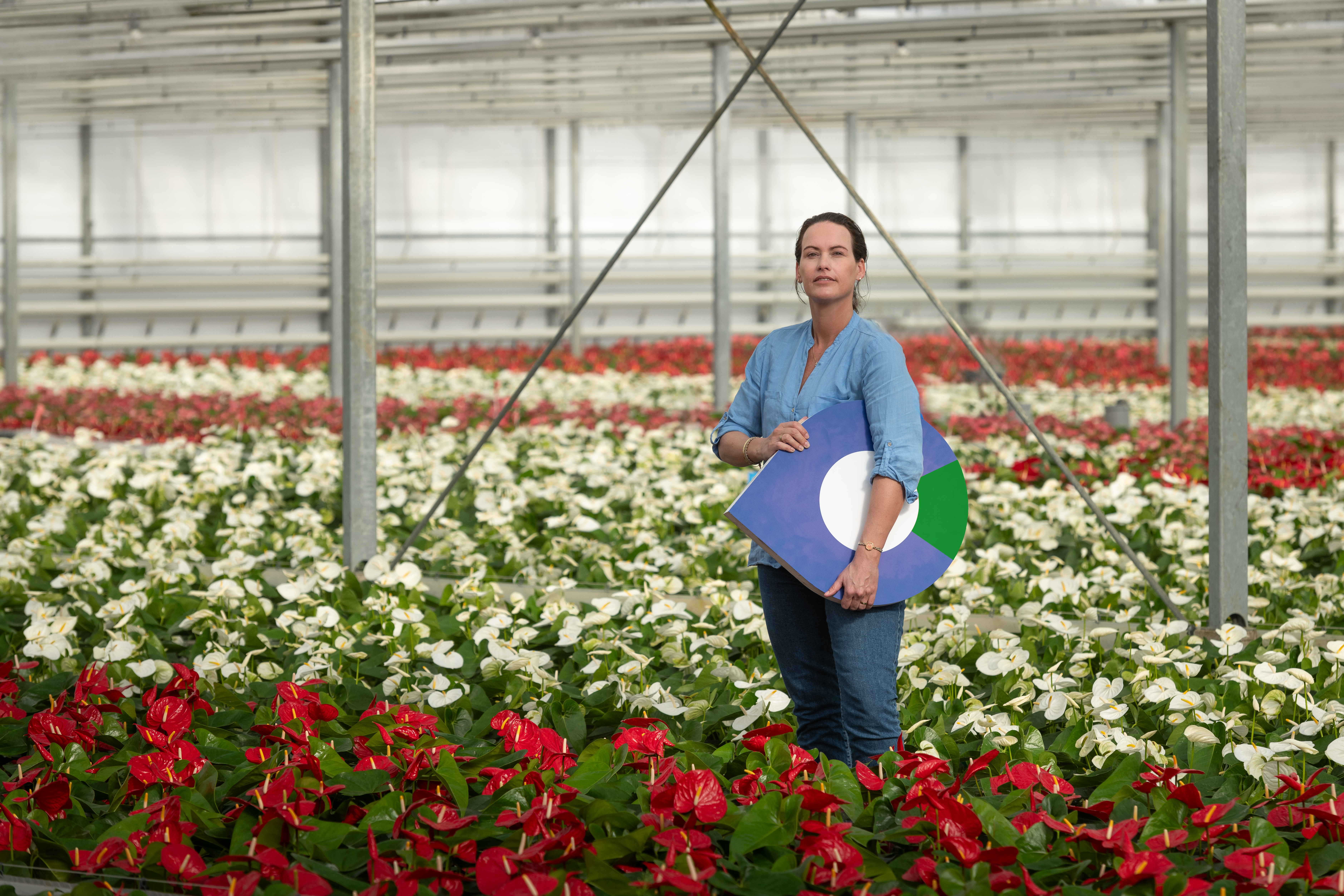 Werkcentrum identiteit regio groen bloemkweker 6